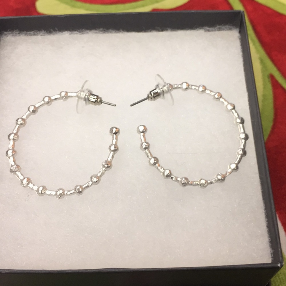 Sliver earring
